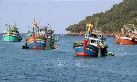 Thành phố Hồ Chí Minh: Vì một nghề cá bền vững