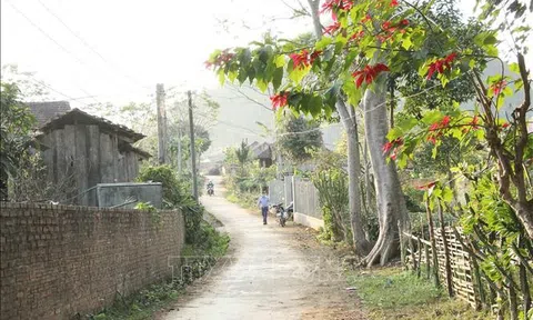 Sắc xuân nơi vùng tái định cư thủy điện Sơn La