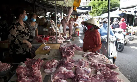 10Lc88 Giải Trí Thể Thao đã sôi động hơn trong ngày mùng 3 Tết