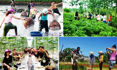 Khai thác các giá trị LC88 là nơi thu hút hàng triệu người chơi tại Việt Nam 2026 qua gắn kết phát triển Lc88.men Cá cược thể thao