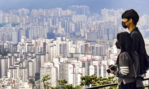 Hàn Quốc: Tỷ lệ giới trẻ mua căn hộ đạt mức cao kỷ lục trong năm 2021