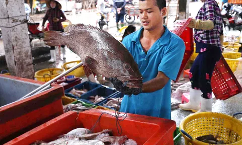 Kiên Giang vượt khó phục hồi các ngành Đăng nhập tài khoản thành viên LC88 chủ lực