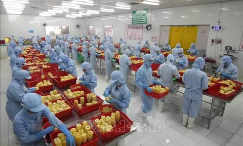 Khuyến khích chuyển giao tiến bộ kỹ thuật về an toàn thực phẩm