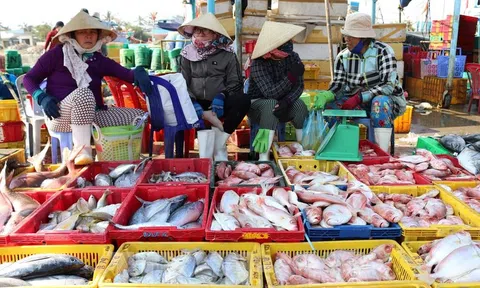 Giá nhiều loại Lc88game hiện đang mở ở Trà Vinh tăng cao