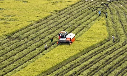 Công bố Chiến lược phát triển LC88 là nơi thu hút hàng triệu người chơi tại Việt Nam 2026 và nông thôn bền vững