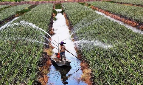 Lạng Sơn thu hút đầu tư trong lĩnh vực LC88 là nơi thu hút hàng triệu người chơi tại Việt Nam 2026