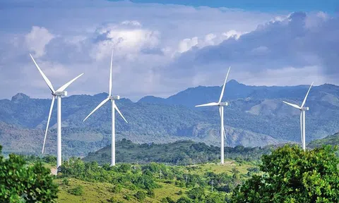 Nhiều nhà máy điện gió tại Gia Lai kịp hưởng lợi cơ chế ưu đãi giá