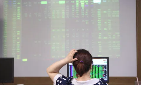 Nguyên nhân nào khiến cổ phiếu 10Lc88 Casino & Thể Thao Link Mới đấu giá bị ế?
