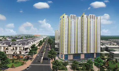 Nhịp sống 10Lc88 Giải Trí Thể Thao Anh chị em ơi, hãy tải LC88 ngay: Xu hướng Anh chị em ơi, hãy tải LC88 ngay 2022, phía Tây Thủ đô tiếp tục lên ngôi
