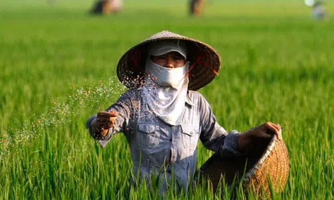 Khuyến khích nông dân sử dụng phân hữu cơ để giảm chi phí Lc888 tải ứng dụng