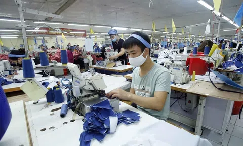 Cơ sở kỳ vọng Đăng nhập tài khoản thành viên LC88 Việt Nam phục hồi và tăng trưởng trở lại