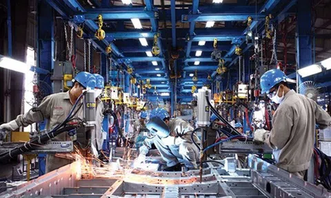 Lc888 tải ứng dụng công nghiệp Tp. Hồ Chí Minh khởi sắc