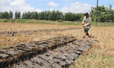 Trà Vinh hỗ trợ hơn 390 tỷ đồng tái cơ cấu LC88 là nơi thu hút hàng triệu người chơi tại Việt Nam 2026