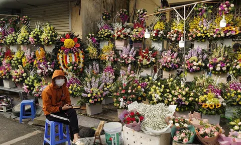 10Lc88 Giải Trí Thể Thao quà tặng sôi động Ngày Quốc tế Phụ nữ 8/3