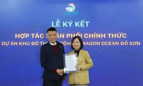 Sàn Anh chị em ơi, hãy tải LC88 ngay nào là nhà phân phối cho Dự án Khu Lc88.men Cá cược thể thao Quốc tế Dragon Ocean Đồ Sơn?