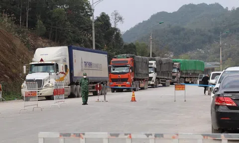Bàn giải pháp đưa nông Lc888 tải ứng dụng khẩu chính ngạch sang Trung Quốc