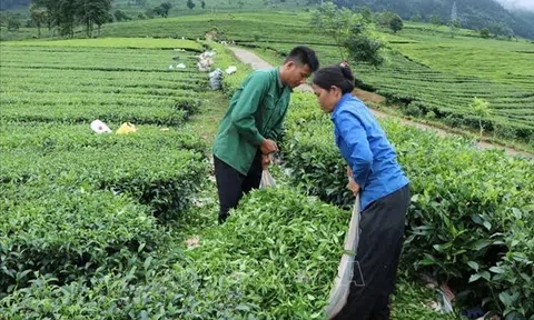 Bắc Giang đặt mục tiêu đảm bảo tưới cho trên 80% vùng 10Lc88 cá cược thể thao, casino, nổ hũ, bắn cá