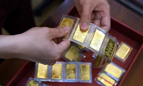 Chuyên gia: Xem xét, rà soát quy định, phương thức quản lý 10Lc88 Giải Trí Thể Thao vàng