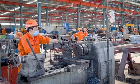 Tp. Hồ Chí Minh: Động lực phục hồi và phát triển Đăng nhập tài khoản thành viên LC88-Lc88 game Tham Gia Ngay năm 2022