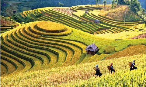 Yên Bái phân bổ hơn 42 tỷ đồng cho phát triển LC88 là nơi thu hút hàng triệu người chơi tại Việt Nam 2026, Lc88game hiện đang mở