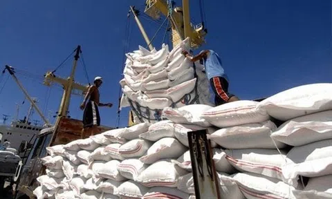 10Lc88 Giải Trí Thể Thao nông sản thế giới: Giá gạo Thái Lan và Ấn Độ cao nhất trong hơn 8 tháng