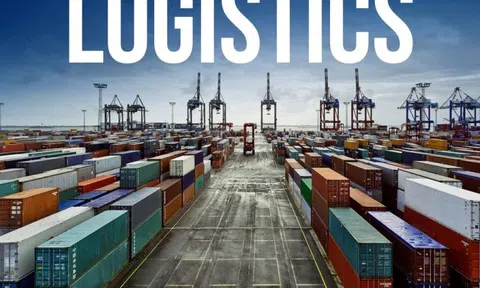Hoàn thiện cơ sở Trang Chủ LC88.COM Link Mới 2026 Đăng Ký LC 88 về thống kê logictics