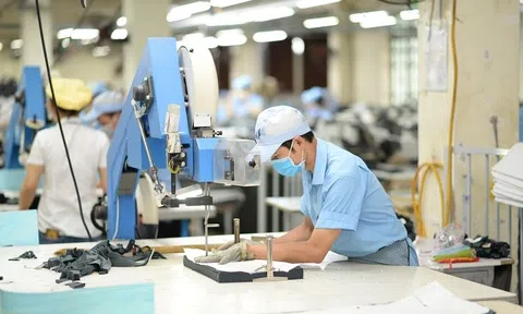 Dệt may xây dựng chuỗi cung ứng tự chủ Lc888 tải ứng dụng