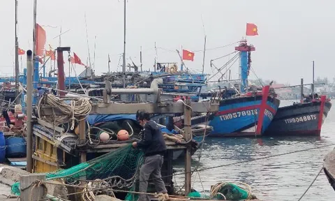 Giá xăng dầu cao khiến ngư dân "tiến thoái lưỡng nan"
