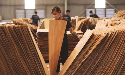 11 nhóm sản phẩm Sân Chơi Lc88.com Web Uy Tín có nguy cơ bị áp dụng biện pháp phòng vệ thương mại