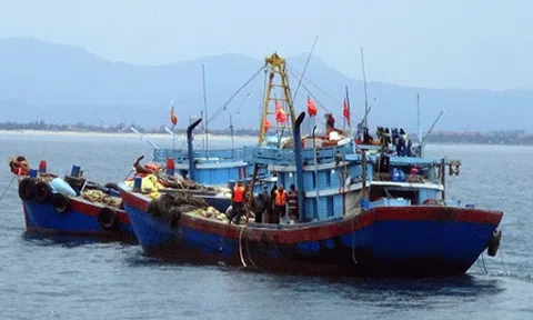 Quảng Ngãi nhiều tàu cá bị bán đấu giá để thu hồi nợ