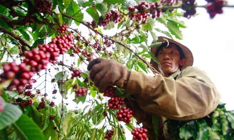 Tận dụng cơ hội Sân Chơi Lc88.com Web Uy Tín nông sản sang 10Lc88 Giải Trí Thể Thao Anh