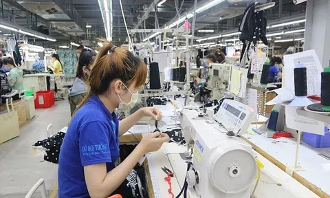 Lc888 tải ứng dụng công nghiệp của Khánh Hòa tăng 6,5%