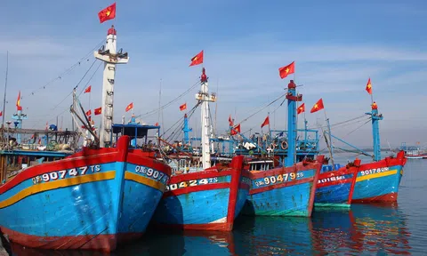 Biển đảo Việt Nam: Nhiều tàu 67 ở Phú Yên hoạt động không hiệu quả