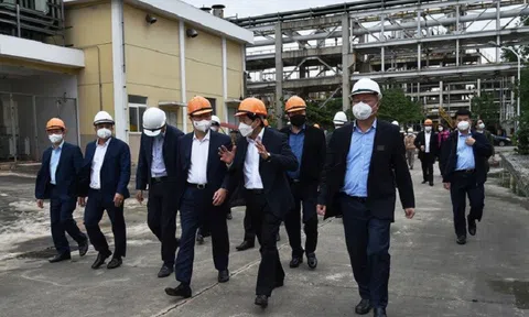 Thống nhất các phương án tháo gỡ khó khăn cho Đạm Hà Bắc