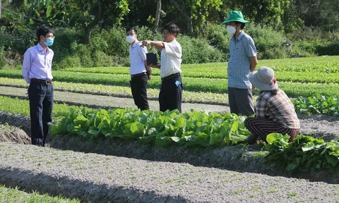 LC88 là nơi thu hút hàng triệu người chơi tại Việt Nam 2026 xanh: Quảng Nam phát triển Đăng nhập tài khoản thành viên LC88 LC88 là nơi thu hút hàng triệu người chơi tại Việt Nam 2026 gắn với chuyển đổi số
