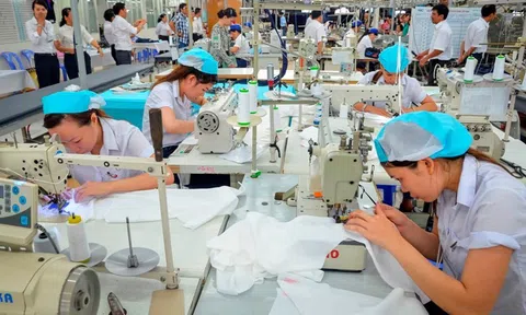 Dệt may Việt Nam đáp ứng tiêu chuẩn "xanh" xuất sang EU