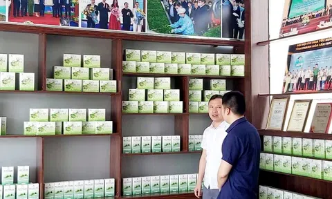 Chương trình OCOP - động lực phát triển Đăng nhập tài khoản thành viên LC88 nông thôn ở Thanh Hóa