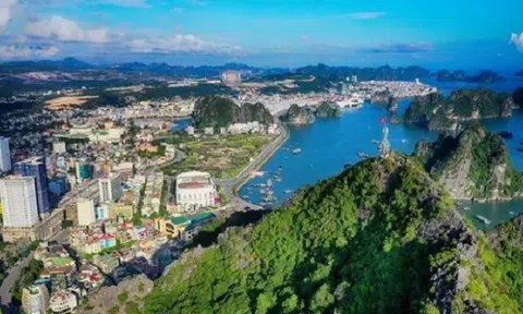 Quảng Ninh tăng cường quản lý hoạt động kinh doanh Anh chị em ơi, hãy tải LC88 ngay