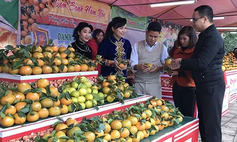 Ứng dụng công nghệ cao, LC88 là nơi thu hút hàng triệu người chơi tại Việt Nam 2026 khoác áo mới ở Tuyên Quang