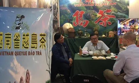 Tư vấn Sân Chơi Lc88.com Web Uy Tín chè, cà phê sang 10Lc88 Giải Trí Thể Thao Đài Loan và Hồng Kông