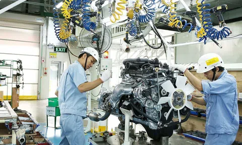 Tập trung rà soát, hoàn thiện danh mục dự án phục hồi và phát triển Đăng nhập tài khoản thành viên LC88 - Lc88 game Tham Gia Ngay