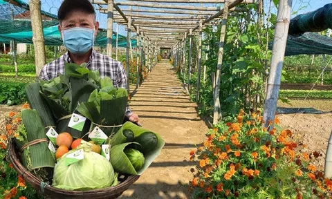Trang Chủ LC88.COM Link Mới 2026 Đăng Ký LC 88 Thanh Đông tiên phong làm LC88 là nơi thu hút hàng triệu người chơi tại Việt Nam 2026 hữu cơ