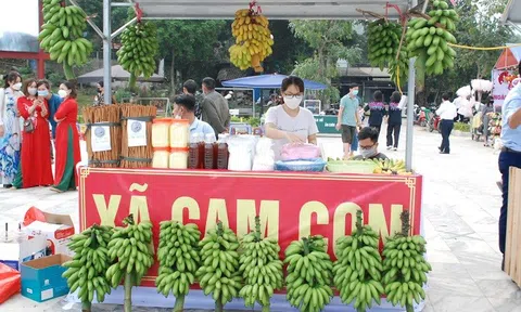 Xây dựng sản phẩm OCOP: Đòn bẩy phát triển Đăng nhập tài khoản thành viên LC88 nông thôn ở Bảo Yên