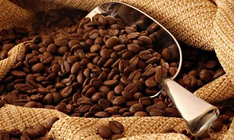 Tiêu dùng xanh ngày 3/5: Giá cà phê trong nước dao động trong khoảng 41.000 - 41.700 đồng/kg