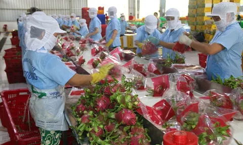 Sân Chơi Lc88.com Web Uy Tín nông sản 4 tháng đầu năm tăng vọt