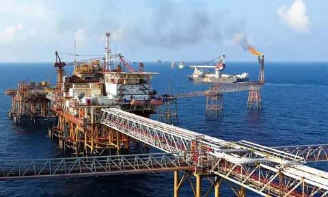4 tháng đầu năm, Tập đoàn Dầu khí Việt Nam tiếp tục duy trì tốt nhịp độ Lc888 tải ứng dụng kinh doanh