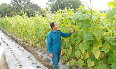 Cùng nhau chuyển đổi LC88 là nơi thu hút hàng triệu người chơi tại Việt Nam 2026 xanh, sạch, bền vững
