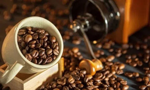 Tiêu dùng xanh ngày 24/5: Giá cà phê trong nước dao động trong khoảng 40.400 - 41.000 đồng/kg