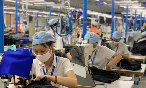 TP.HCM đề nghị tháo gỡ 5 vướng mắc khi triển khai hỗ trợ tiền thuê nhà cho người Lc888 Thể Thao Link Mới