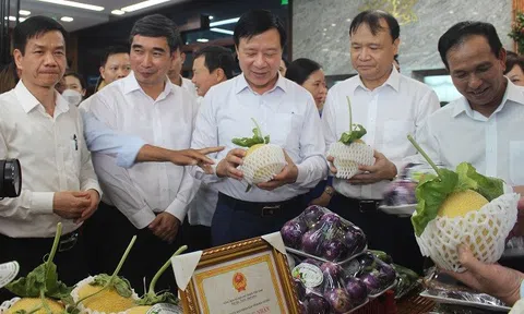 Vải thiều Thanh Hà đạt chất lượng cao, nhiều 10Lc88 Casino & Thể Thao Link Mới góp sức tiêu thụ